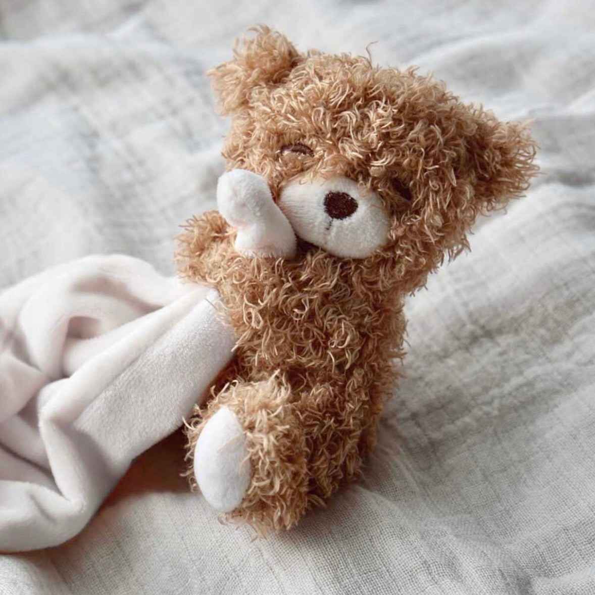 Petú Petú teddybeer met knuffeldoekje