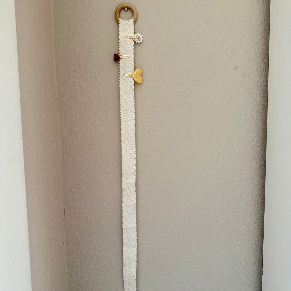 haarclip organizer